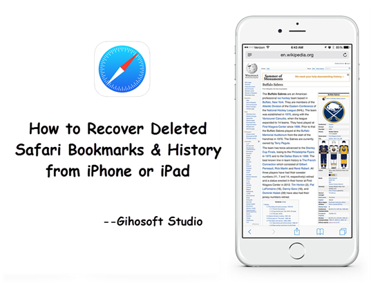 gihosoft iphone data recovery for safari history